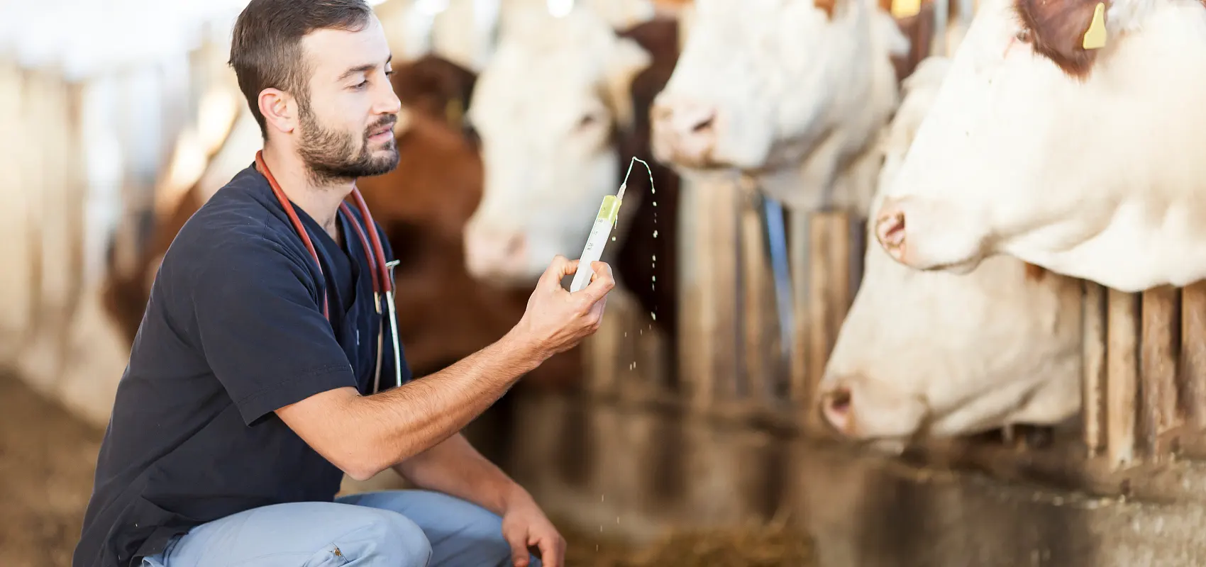 Ce este specialitatea veterinară zootehnie?