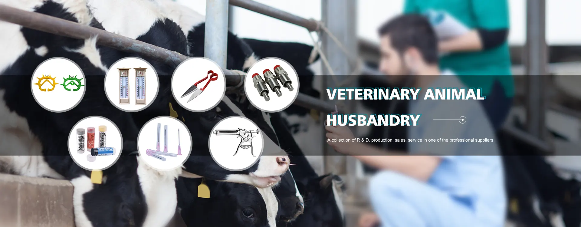 Furnizori de instrumente veterinare